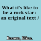 What it's like to be a rock star : an original text /