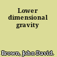 Lower dimensional gravity