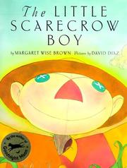 The little scarecrow boy /