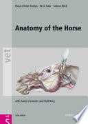 Anatomy of the horse /