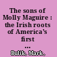The sons of Molly Maguire : the Irish roots of America's first labor war /