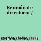 Reunión de directorio /