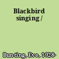 Blackbird singing /