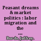 Peasant dreams & market politics : labor migration and the Russian village, 1861-1905 /