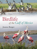 Birdlife of the Gulf of Mexico /