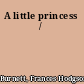 A little princess /