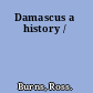 Damascus a history /