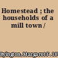 Homestead ; the households of a mill town /