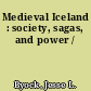 Medieval Iceland : society, sagas, and power /