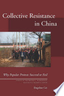 Collective resistance in China why popular protests succeed or fail /