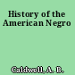 History of the American Negro