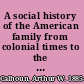 A social history of the American family from colonial times to the present /