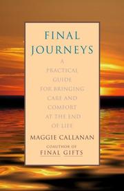 Final journeys : a practical guide for bringing care and comfort at the end of life /