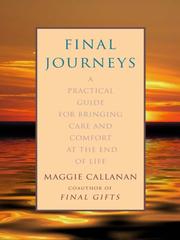 Final journeys : a practical guide for bringing care and comfort at the end of life /