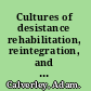 Cultures of desistance rehabilitation, reintegration, and ethnic minorities /