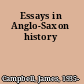 Essays in Anglo-Saxon history