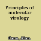 Principles of molecular virology