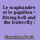 Le scaphandre et le papillon = Diving bell and the butterfly /
