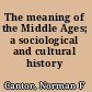 The meaning of the Middle Ages; a sociological and cultural history