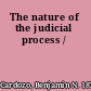 The nature of the judicial process /