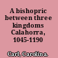 A bishopric between three kingdoms Calahorra, 1045-1190 /