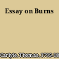 Essay on Burns