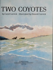 Two coyotes /