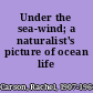 Under the sea-wind; a naturalist's picture of ocean life