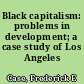 Black capitalism: problems in development; a case study of Los Angeles