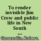 To render invisible Jim Crow and public life in New South Jacksonville /