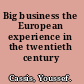 Big business the European experience in the twentieth century /