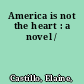 America is not the heart : a novel /