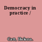 Democracy in practice /