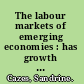 The labour markets of emerging economies : has growth translated into more and better jobs? /