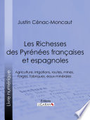 Les richesses des Pyrénées Françaises et Espagnoles : agriculture, irrigations, routes, mines, forges, fabriques, eaux minérales /