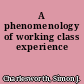 A phenomenology of working class experience