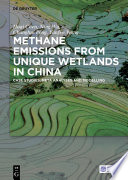 Methane emissions from unique wetlands in China : case studies, meta analyses, and modelling /