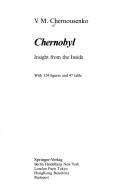 Chernobyl, insight from the inside /