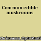 Common edible mushrooms