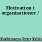 Motivation i organisationer /