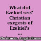 What did Ezekiel see? Christian exegesis of Ezekiel's vision of the chariot from Irenaeus to Gregory the Great /