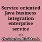 Service oriented Java business integration enterprise service bus integration solutions for Java developers /