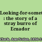 Looking-for-something : the story of a stray burro of Ecuador /