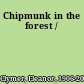 Chipmunk in the forest /