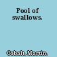 Pool of swallows.