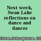 Next week, Swan Lake reflections on dance and dances /