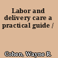Labor and delivery care a practical guide /
