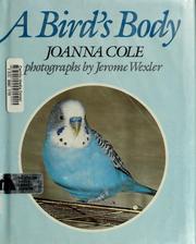A bird's body /