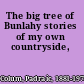 The big tree of Bunlahy stories of my own countryside,