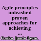 Agile principles unleashed proven approaches for achieving real productivity gains in any organisation /